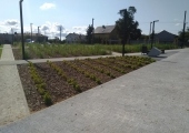 Park_12.jpg