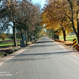 Zdjęcie 6 1303E