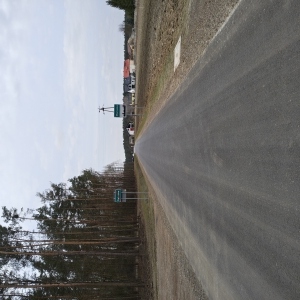 Zdjecie_5_droga Marianka-Dąbrowa