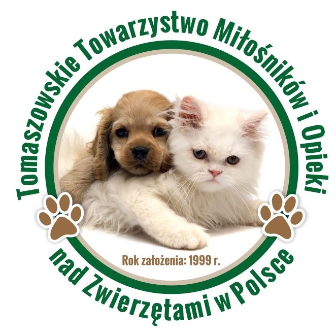 ttmionzwp.jpg