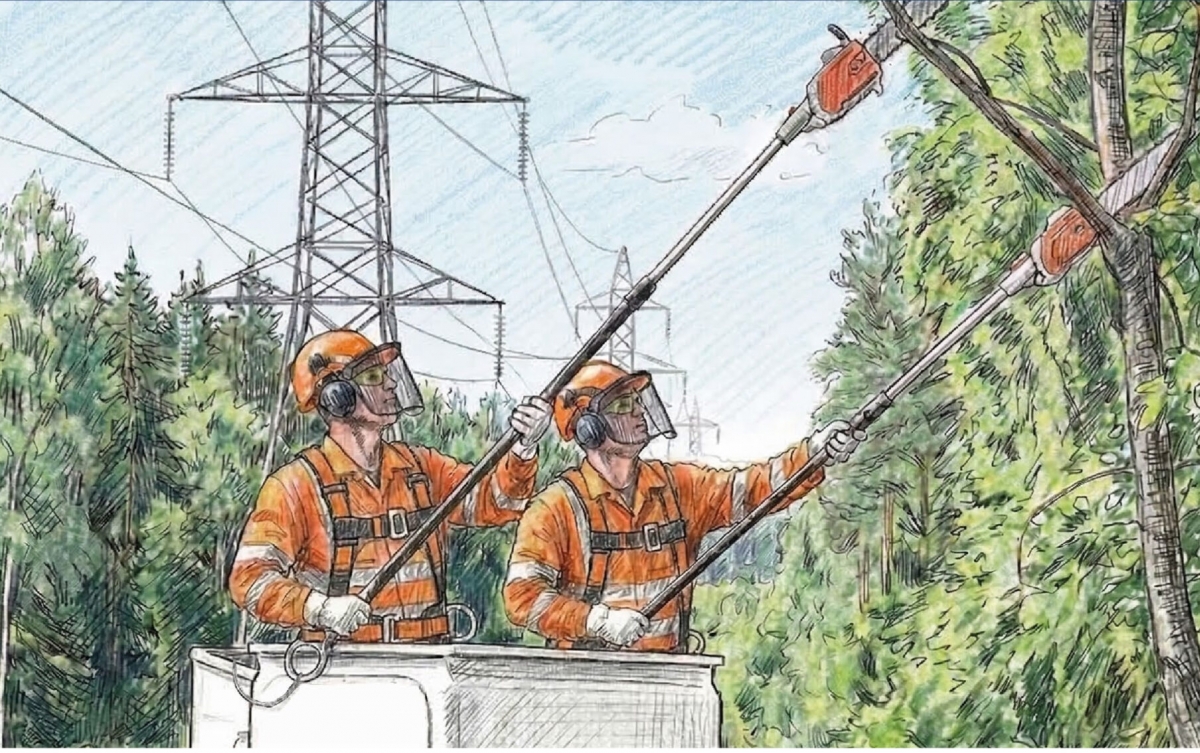 PGE-Dystrybucja-plakat-wycinka-scaled-e1776768398672